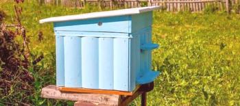 Úl vlastními rukama: jak vytvořit kvalitní „domov“ pro včely bez chyb