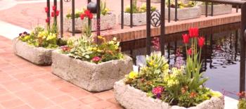 Betonové venkovní květináče pro květiny: jak vyrábět, instalovat a pečovat
