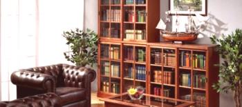Duševní poklad v bytě: co jsou knihovny a knihovny pro domácnost